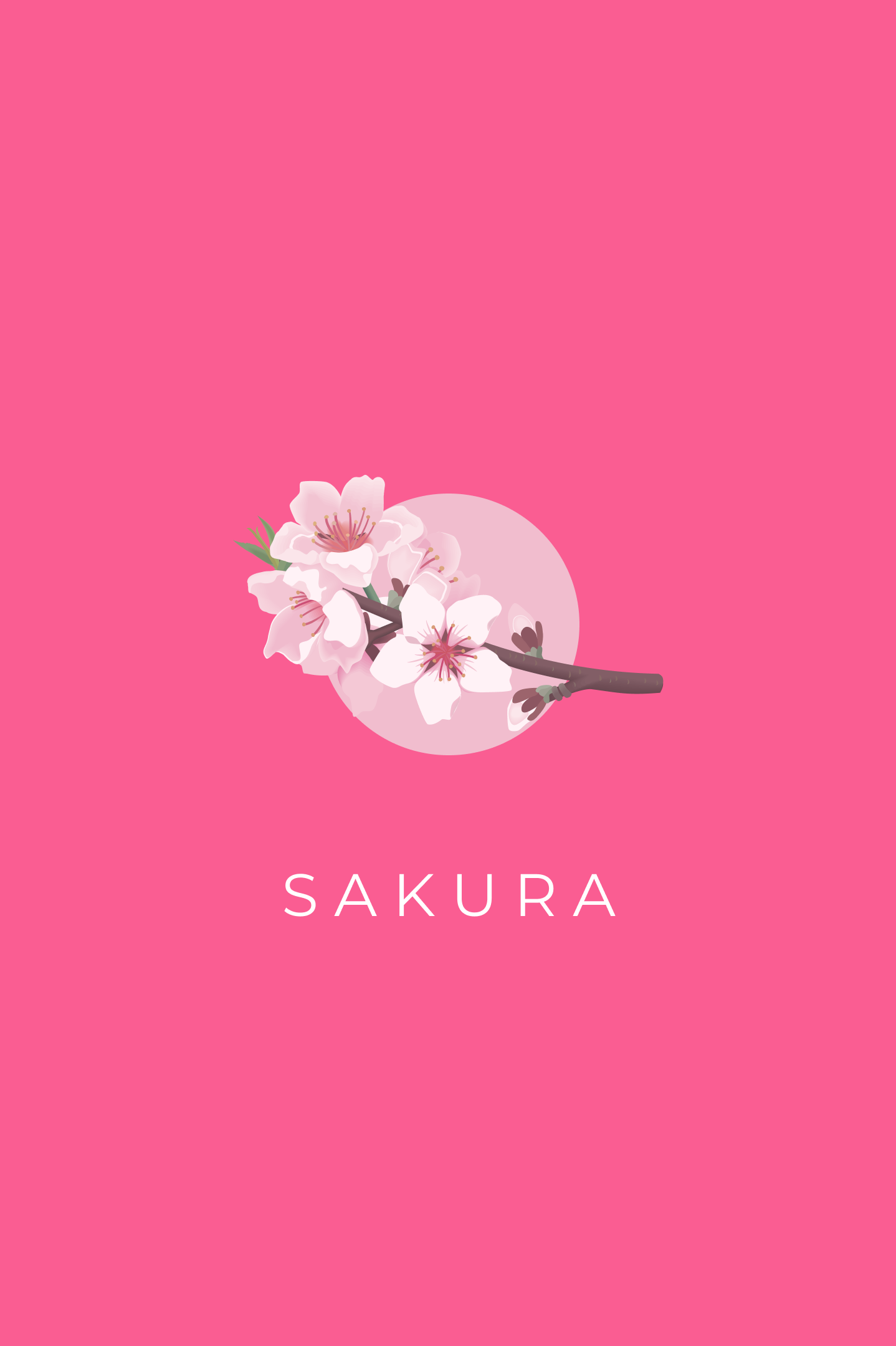 sakura